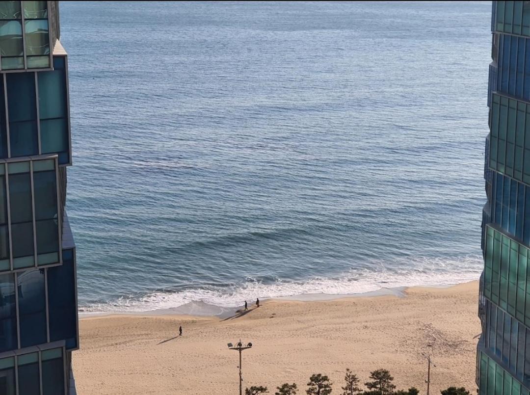 Haeundae Lavender House-Irua Hotel ปูซาน ภายนอก รูปภาพ